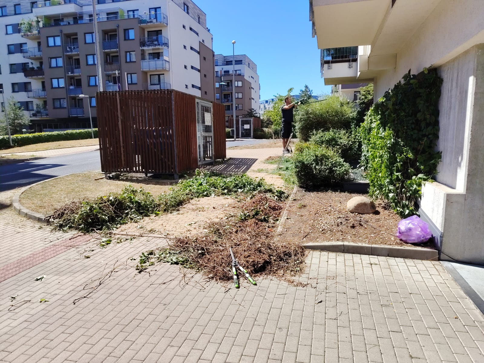 Práce na údržbě keřů u bytového domu